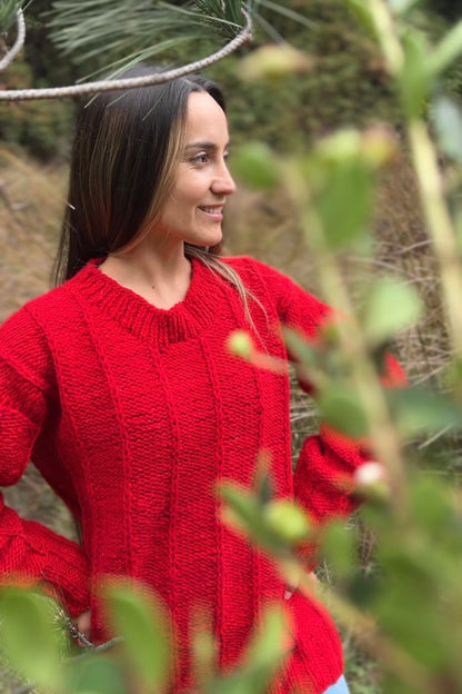 Sweater rojo